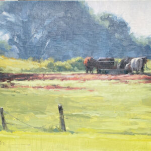 Quiet Morning, Kate Mueller