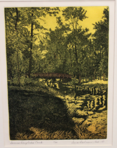 Forest scene featuring a creek with a small wooden footbridge, surrounded by tall trees and rocky banks.