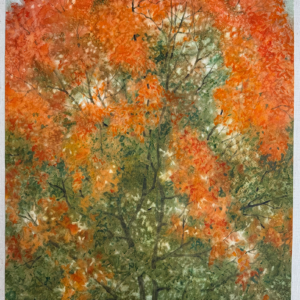 Impressionistic painting of a deciduous tree in autumn with bright orange and red leaves dominating the upper half and a green foliage below against a muted background.